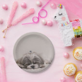 Maßgeschneiderte Shih-Tzu-Platte, Schlafhund Pappteller (Party)