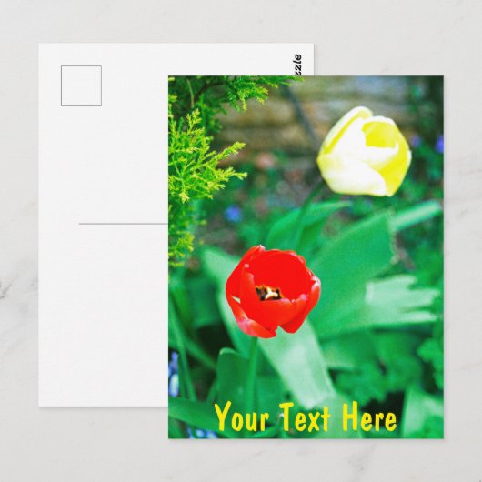 Maßgeschneiderte Tulips Postkarte (Vorne/Hinten)
