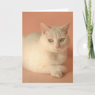 Maßgeschneiderte Valentinkatzen Feiertagskarte