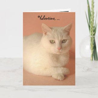Maßgeschneiderte Valentinkatzen Feiertagskarte