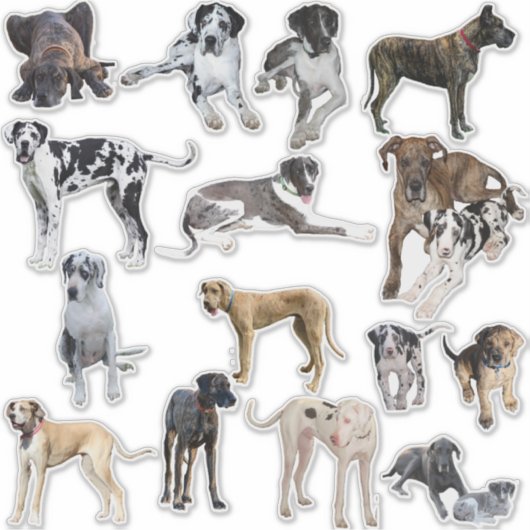 Maßgeschneiderte Vinyl Stickers Große Dänen Aufkleber (Vorderseite)