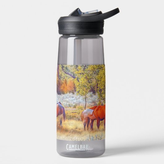 Maßgeschneiderte Wasserflasche: CamelBak Eddy® Wil Trinkflasche (Links)