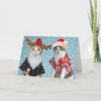 Maßgeschneiderte Weihnachtskatzen Feiertagskarte