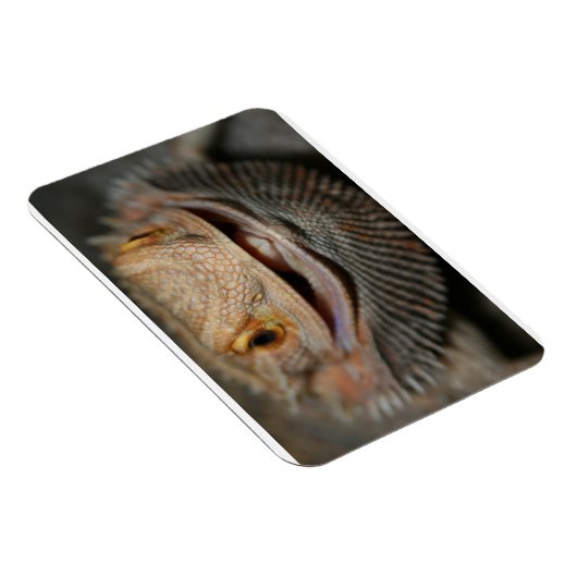 Maßgeschneiderter Bartdrache Magnet (Rechte Seite)