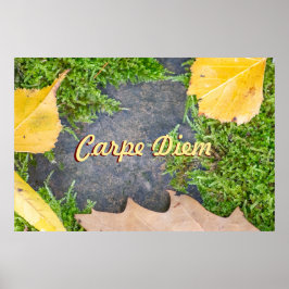 Maßgeschneiderter Carpe Diem mit bunten Blätter Poster