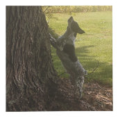 Maßgeschneiderter Foto Cube Würfel (Rechts)