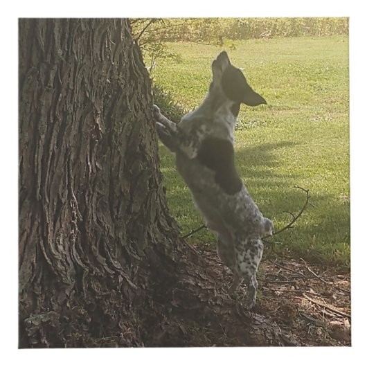 Maßgeschneiderter Foto Cube Würfel (Rechts)