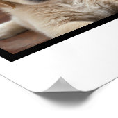 Maßgeschneiderter Hund mit vier Fotos Collage Poster (Ecke)