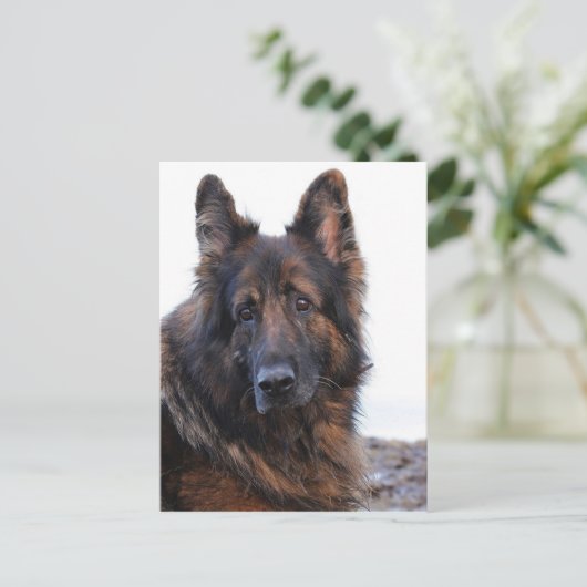 Maßgeschneiderter Hund Postkarte (Stehend Vorderseite)