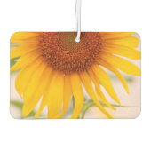 Maßgeschneiderter Sonnenblumenluftkühler Autolufterfrischer (Rückseite)