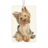 Maßgeschneiderter Zwei-Seiten-Foto-Luftkühler Autolufterfrischer (Rückseite)