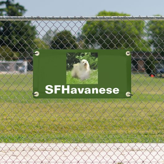 Maßgeschneidertes Banner (Insitu)