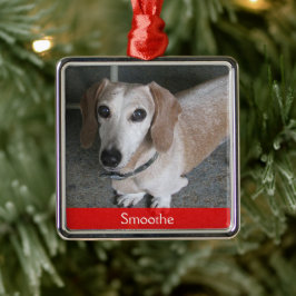 Maßgeschneidertes Foto Hundeschmuck Ornament Aus Metall