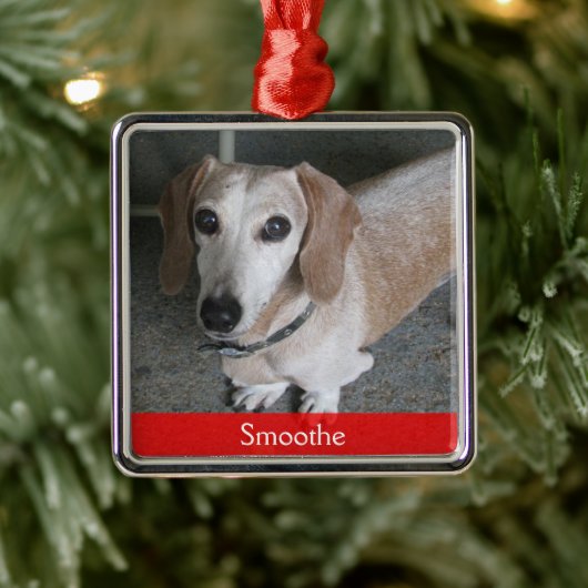 Maßgeschneidertes Foto Hundeschmuck Ornament Aus Metall (Baum)