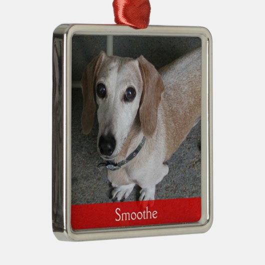 Maßgeschneidertes Foto Hundeschmuck Ornament Aus Metall (Rechts)