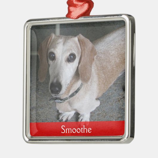 Maßgeschneidertes Foto Hundeschmuck Ornament Aus Metall (Links)