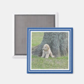 Maßgeschneidertes Foto Template Stilvoll Royal Blu Magnet (Vorderseite/Rückseite)