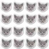 Maßgeschneidertes Foto Wasserfeste Vinyl Stickers Aufkleber (Vorderseite)