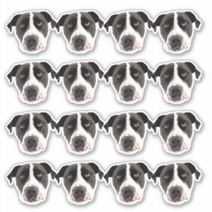 Maßgeschneidertes Foto Wasserfeste Vinyl Stickers Aufkleber