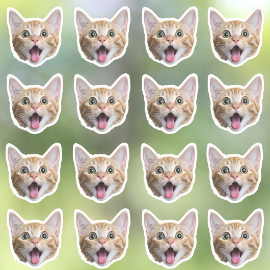 Maßgeschneidertes Foto Wasserfeste Vinyl Stickers Aufkleber