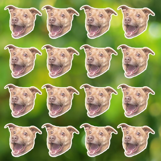 Maßgeschneidertes Foto Wasserfeste Vinyl Stickers Aufkleber