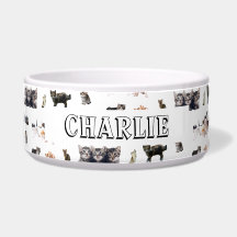 Maßgeschneidertes Muster mit Fotos von Katzen und 