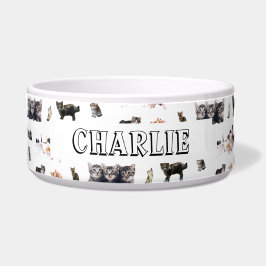 Maßgeschneidertes Muster mit Fotos von Katzen und  Napf