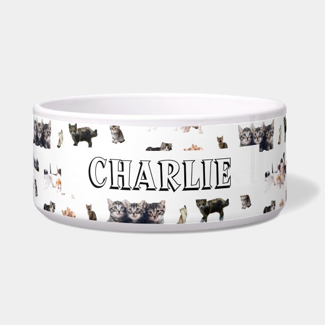 Maßgeschneidertes Muster mit Fotos von Katzen und  Napf (Vorderseite)