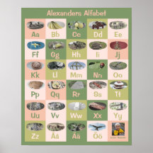 Maßgeschneidertes schwedisches Alphabet Poster