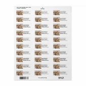 Maßgeschneidertes Ziegenfutter (Vorne)