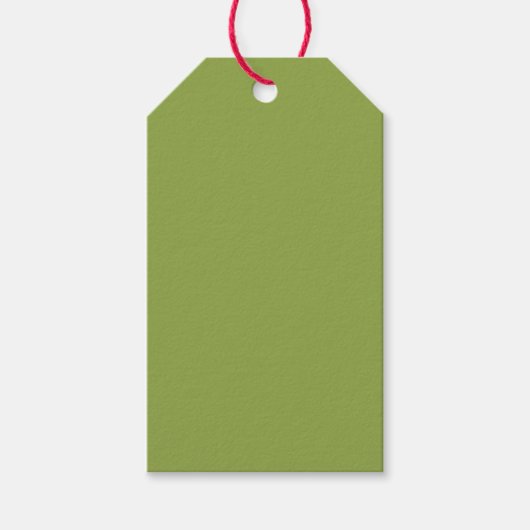 Mäßige Limettengrün, Solid-Farbe Geschenkanhänger (Vorderseite)