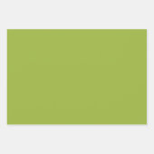 Mäßiges Kalkgrün (feste Farbe) gelb- grün Geschenkpapier Set (Vorderseite 2)