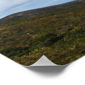 Massive Cape Reinga Panorama Poster (Ecke)