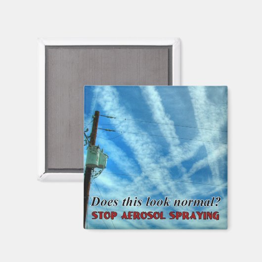 Massive Chemtrail Grid Magnet (Vorderseite/Rückseite)