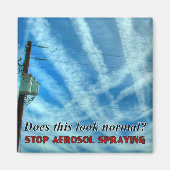 Massive Chemtrail Grid Magnet (Vorne)