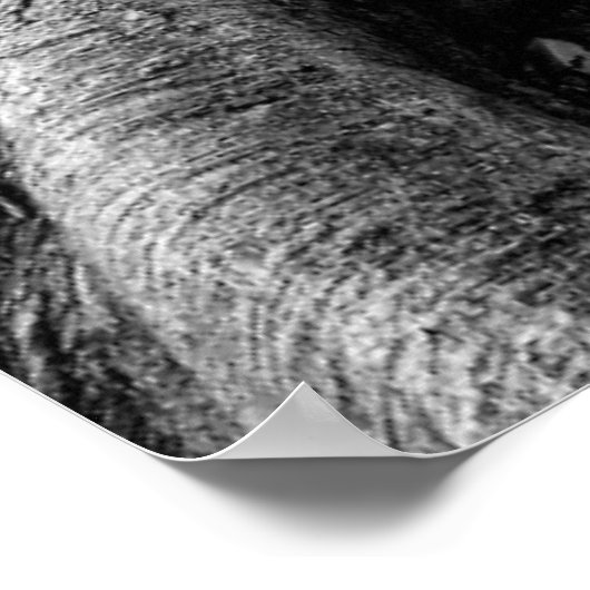 Massive Gummibaumwurzeln Poster (Ecke)