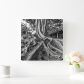 Massive Gummibaumwurzeln Quadratische Wanduhr (Zuhause)