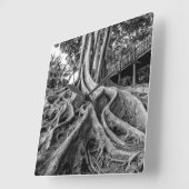 Massive Gummibaumwurzeln Quadratische Wanduhr (Winkel)