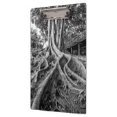 Massive Gummiwurzeln Klemmbrett (Links)