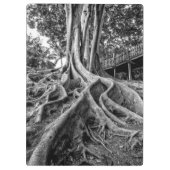 Massive Gummiwurzeln Klemmbrett (Rückseite)