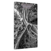 Massive Gummiwurzeln Klemmbrett (Rechts)