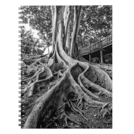 Massive Gummiwurzeln Notizblock (Vorderseite)