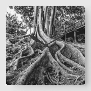 Massive Gummiwurzeln Quadratische Wanduhr