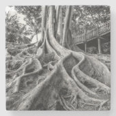 Massive Gummiwurzeln Steinuntersetzer (Vorderseite)