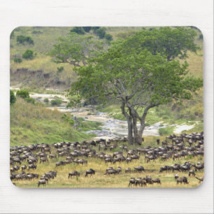 Massive Wildebeest-Herde während der Migration, Mousepad