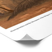 Massospondylus und das Denkmal der gefallenen Poster (Ecke)