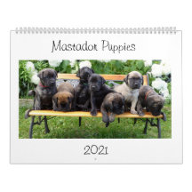 Mastador Puppies-Kalender