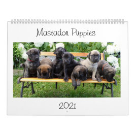 Mastador Puppies-Kalender Kalender