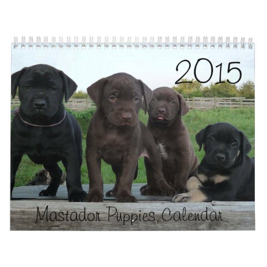 Mastador Welpen-Kalender 2015 Kalender (Titelbild)