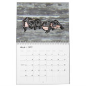 Mastador Welpen-Kalender 2015 Kalender (Mär 2027)